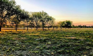 LOTES FINANCIADOS en Del Viso - Pilar - El Paso