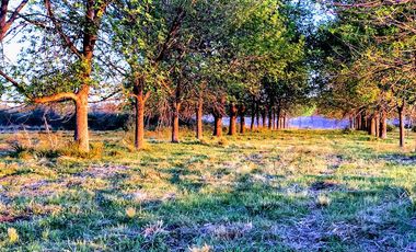 LOTES FINANCIADOS en Del Viso - Pilar - El Paso