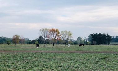 LOTES FINANCIADOS en Del Viso - Pilar - El Paso