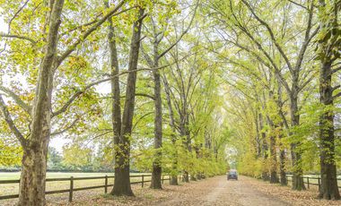 Terreno - Countries/B.Cerrado (Pilar)