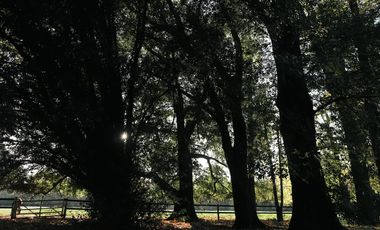 Terreno - Countries/B.Cerrado (Pilar)