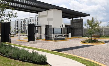 Departamento en renta en zona Sur, Capittala