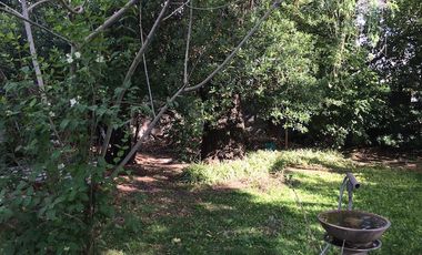 Chalet  importante lote - Jose Marmol