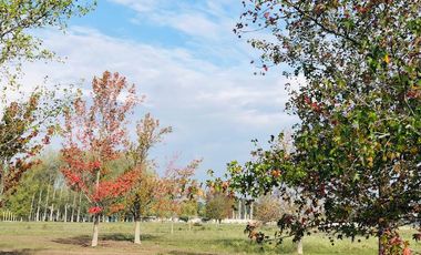 LOTES FINANCIADOS en Del Viso - Pilar - El Paso