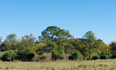 LOTES FINANCIADOS en Del Viso - Pilar - El Paso