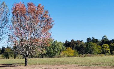 LOTES FINANCIADOS en Del Viso - Pilar - El Paso