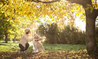NUEVO BARRIO PILAR CHICO - LOTES EN POZO