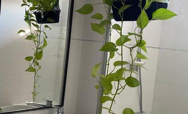 HERMOSO DEPARTAMENTO TIPO DUPLEX