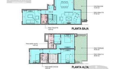 HERMOSO DEPARTAMENTO TIPO DUPLEX