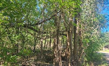 Terreno en Venta, La Granja