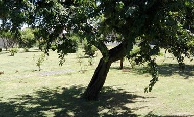 SANTILLI - ACHUPALLAS 2029 - TERRENO - TEMPERLEY ESTE