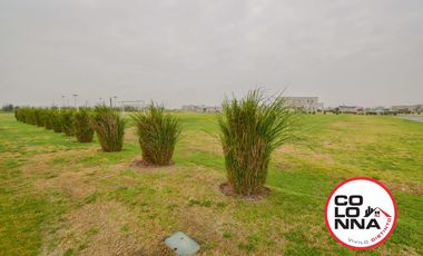 Terreno en Santa Clara al Sur