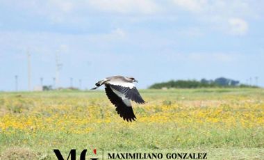 Lote en venta - Santa Clara, Canning, San Vicente