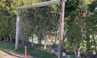 Quincena de Febrero 2026