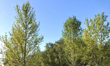 LOTES FINANCIADOS en Del Viso - Pilar - El Paso