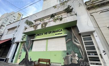 Departamento de tres dormitorios en venta