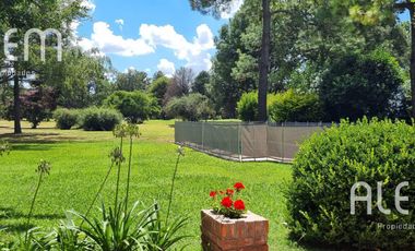 Casa en alquiler en El Ombu | Un dormitorio