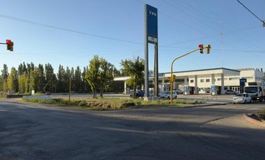 Chacra de 7,54 Has. APTO DESARROLLO - Plottier