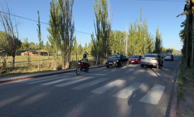 Chacra de 7,54 Has. APTO DESARROLLO - Plottier