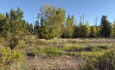 Chacra de 7,54 Has. APTO DESARROLLO - Plottier