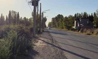 Chacra de 7,54 Has. APTO DESARROLLO - Plottier