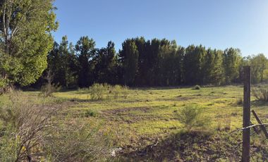 Chacra de 7,54 Has. APTO DESARROLLO - Plottier