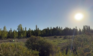 Chacra de 7,54 Has. APTO DESARROLLO - Plottier