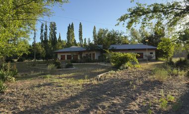 Chacra de 7,54 Has. APTO DESARROLLO - Plottier