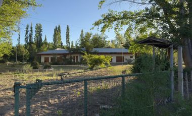 Chacra de 7,54 Has. APTO DESARROLLO - Plottier