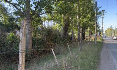 Chacra de 7,54 Has. APTO DESARROLLO - Plottier