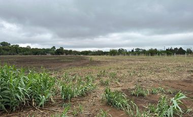 VILLA RETIRO*TERRENO ZONA INDUSTRIAL APTO GALPÓN * 2784 mts