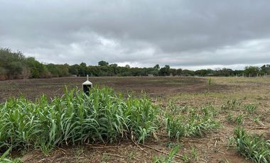 VILLA RETIRO*TERRENO ZONA INDUSTRIAL APTO GALPÓN * 2784 mts