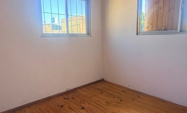 PH en 2 plamtas 4 amb