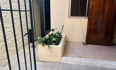 PH en 2 plamtas 4 amb