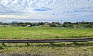 Terreno - Venta y Alquiler - San Martin