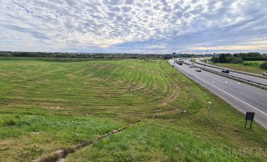 Terreno - Venta y Alquiler - San Martin