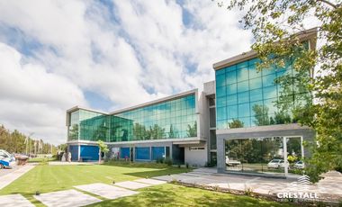 Oficina - Aldea Fisherton