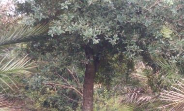 Terreno/Rancho en Venta en Cadereyta Jiménez, Nuevo León.