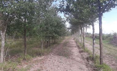 Terreno/Rancho en Venta en Cadereyta Jiménez, Nuevo León.