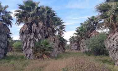 Terreno/Rancho en Venta en Cadereyta Jiménez, Nuevo León.