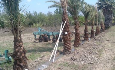 Terreno/Rancho en Venta en Cadereyta Jiménez, Nuevo León.