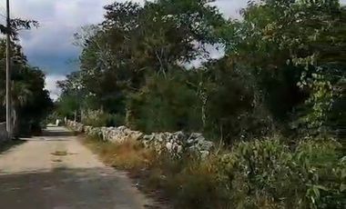 TERRENOS EN VENTA EN NOLO  (TIXKOKOB) YUCATÁN