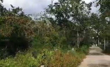 TERRENOS EN VENTA EN NOLO  (TIXKOKOB) YUCATÁN