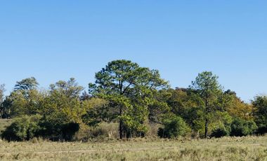 LOTES FINANCIADOS - Barrio El Paso - Del Viso