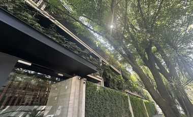 Polanco Renta fino  y sofisticado departamento con terrazas