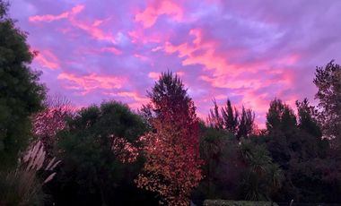 Venta Casa en La Francisca - Lobos