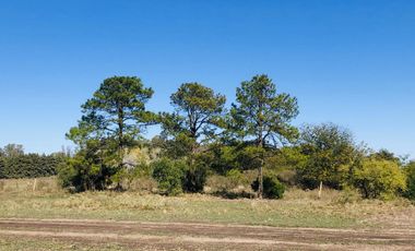LOTE FINANCIADO EN DEL VISO, PILAR - BARRIO PRIVADO EL PASO