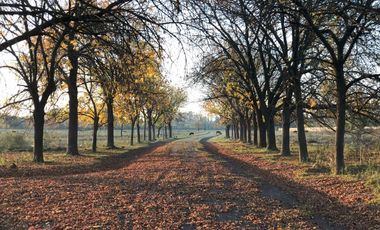 LOTE FINANCIADO EN DEL VISO, PILAR - BARRIO PRIVADO EL PASO