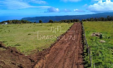 Sitio en Venta en SECTOR LOS PELLINES, VALDIVIA