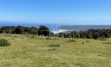 Sitio en Venta en SECTOR LOS PELLINES, VALDIVIA